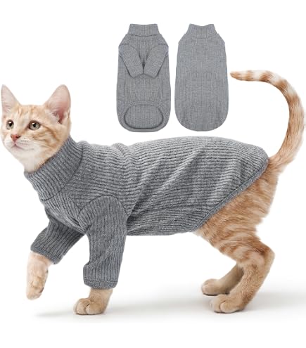 Amazon.co.jp: なめ猫 レトロ なめんなよ猫 下敷き ！ : ペット用品